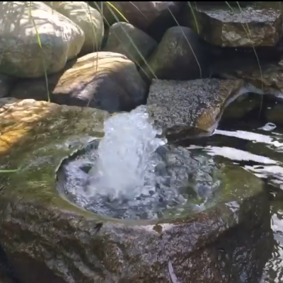 Bubbling Boulder